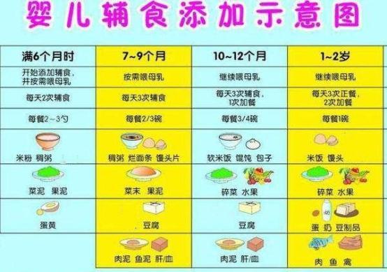 关于十个月宝宝的成长食谱表，营养丰富的辅食搭配建议