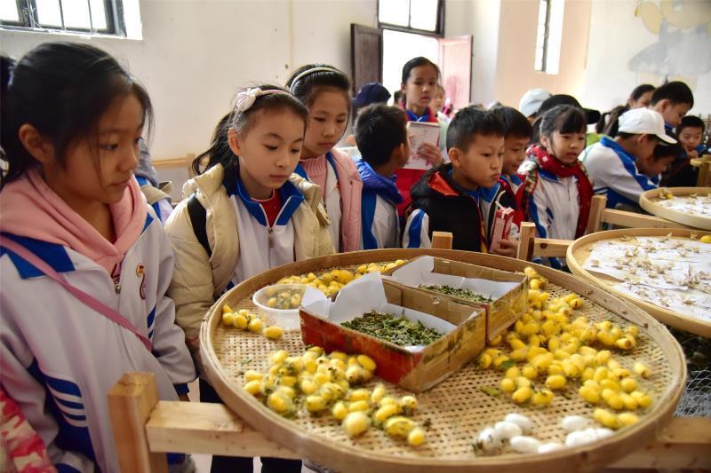 广东省研学指导师的探索与实践