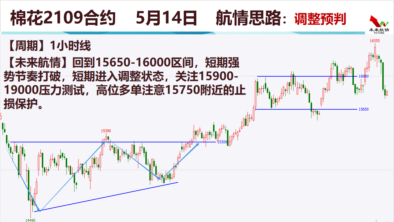 广东日彩科技有限公司，创新科技，彩绘未来