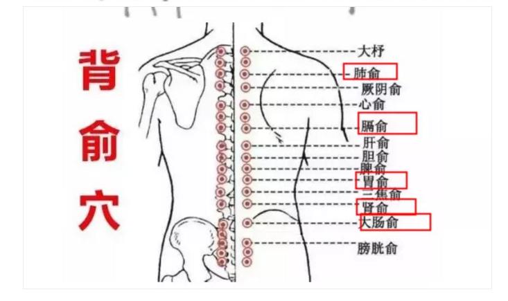 广东省执业医生的专业实践与挑战