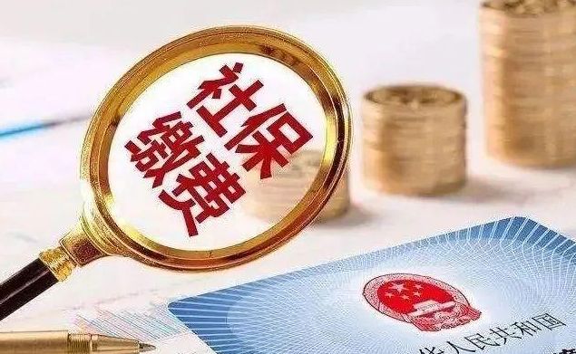 广东省社保连网，构建无缝社会保障体系的新篇章