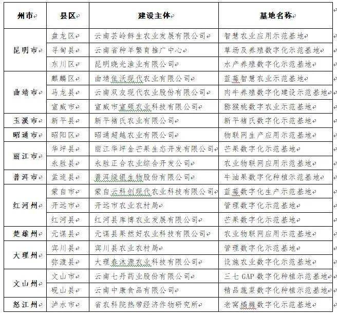 江苏浅云科技，引领科技创新，塑造数字未来