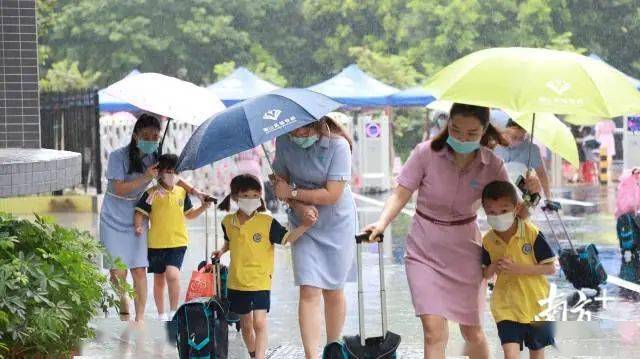 广东省违反师德行为的处理措施及其影响