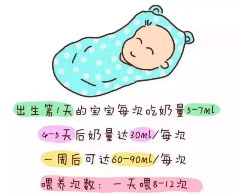 新生儿半个月内的吃奶量，科学喂养指南