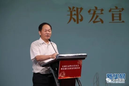 广东省农业农村厅与李琳，共筑乡村新篇章