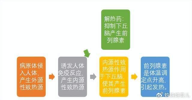 关于4个月宝宝发烧怎么办的实用指南