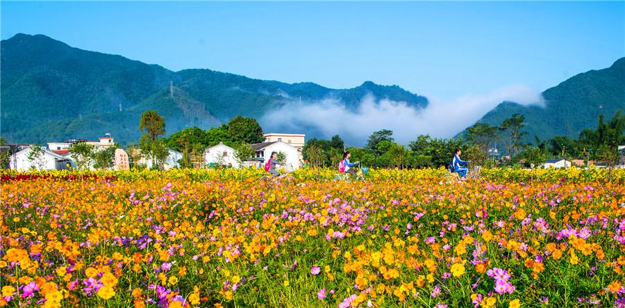 广东省取土场管理，规范运营，促进可持续发展