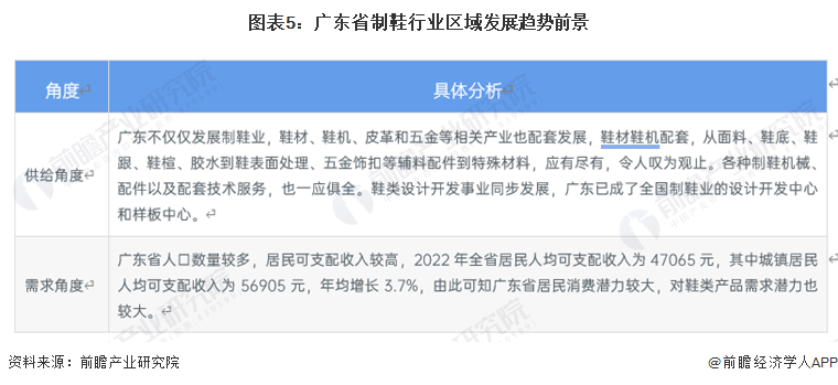 广东省制鞋业，历史、现状与未来展望