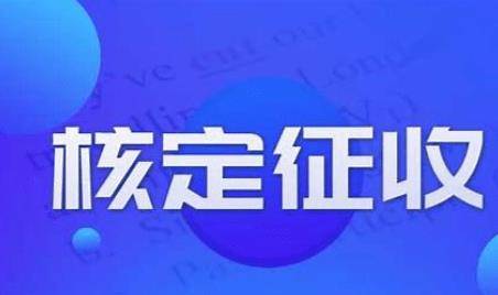 广东峰惠财税有限公司，财税领域的卓越先锋