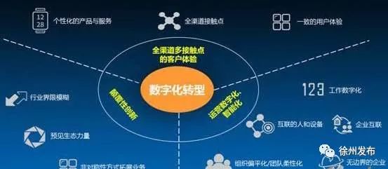 江苏泛盈信息科技，引领数字化转型的先锋力量